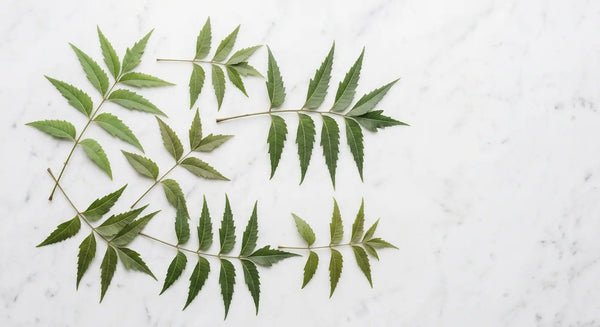 Neem