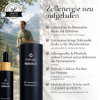 ChiDrops REBUILD - Kraftvolle Adaptogene und Mineralien