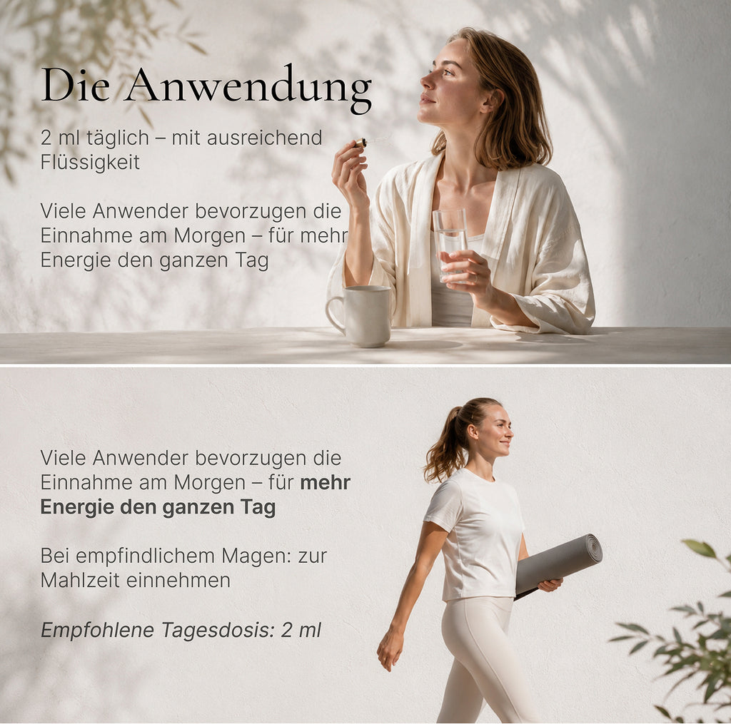 ChiDrops REBUILD - Kraftvolle Adaptogene und Mineralien